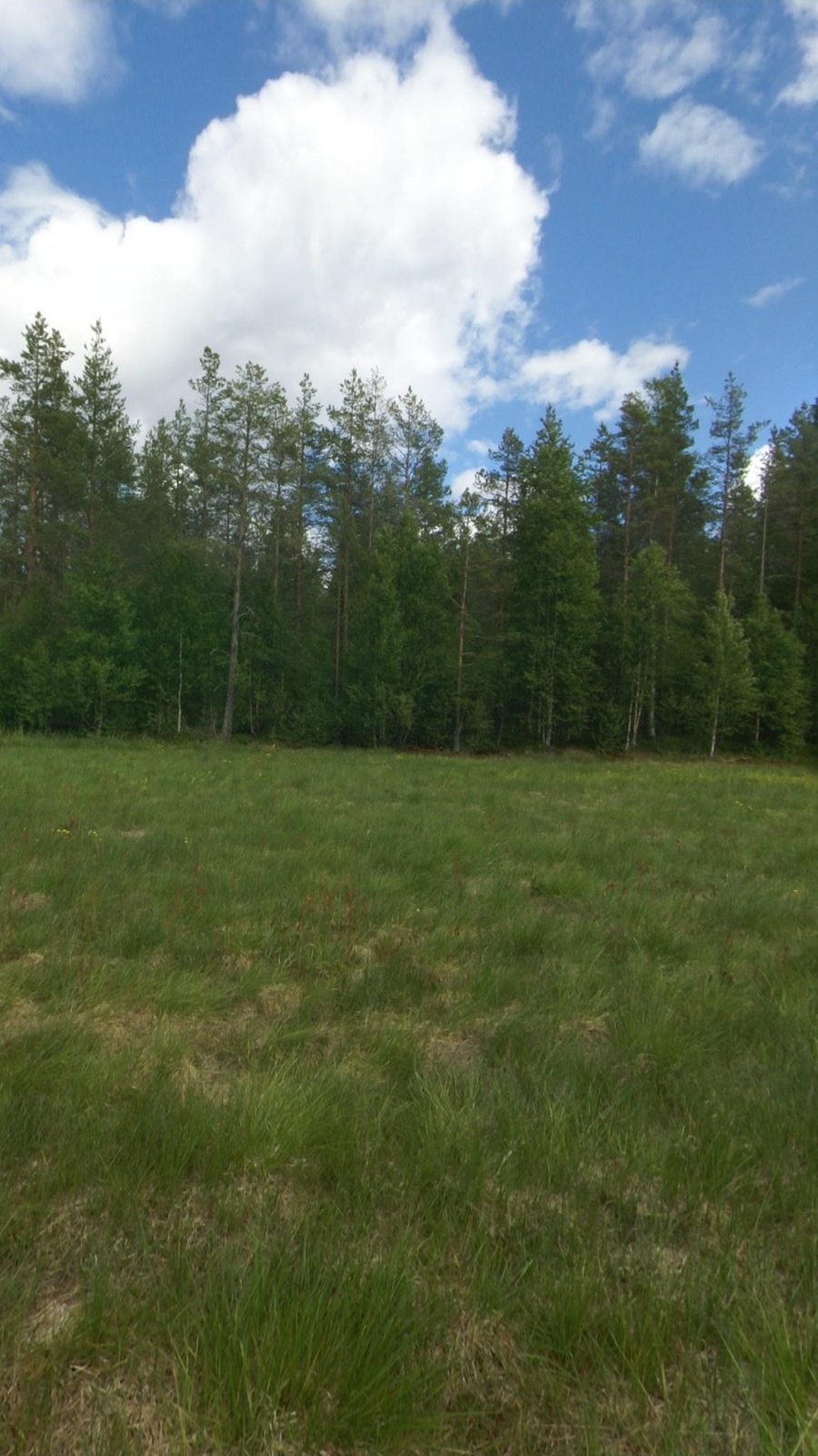 The fenced meadow at Casa del Prat under a summer cloud