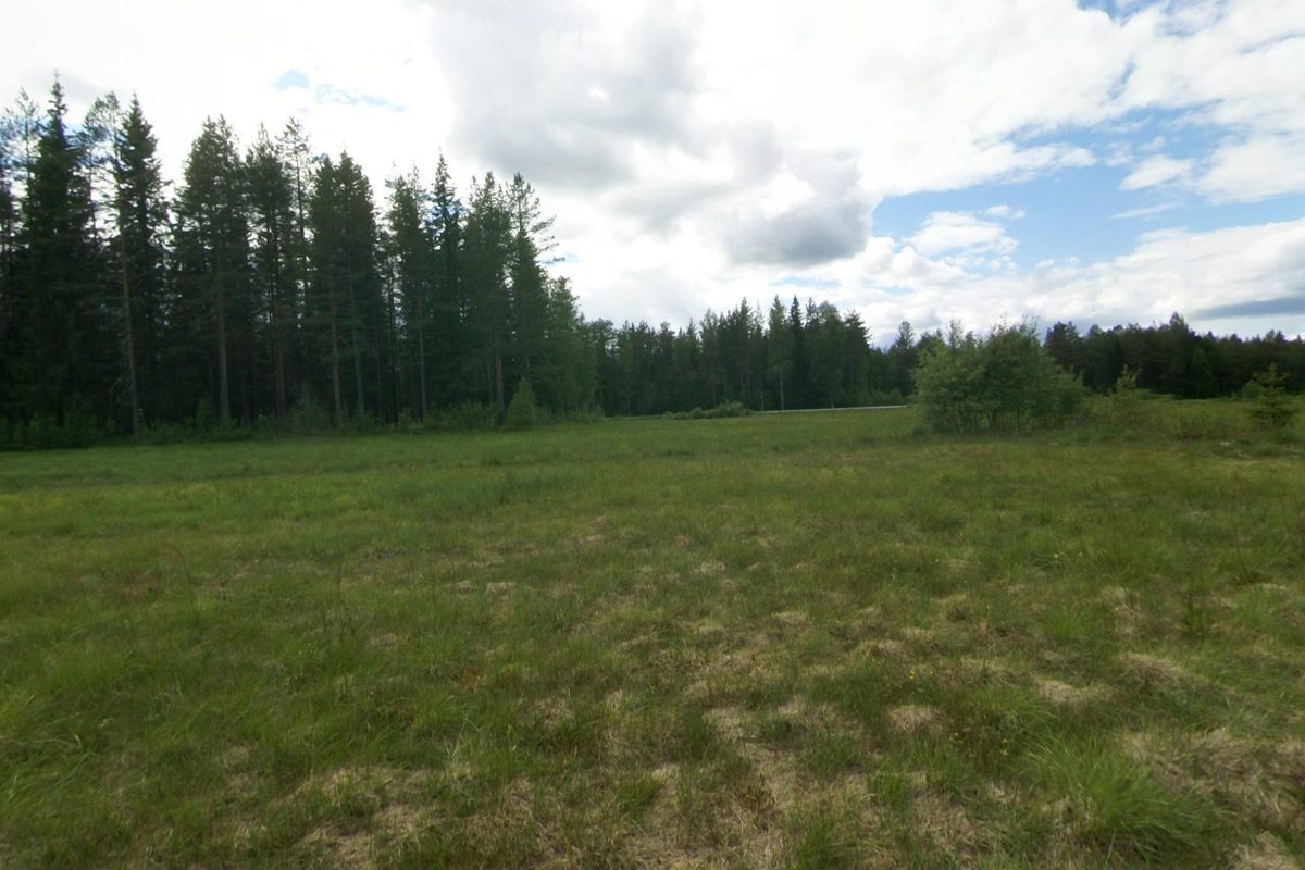 The edge of the fenced meadow