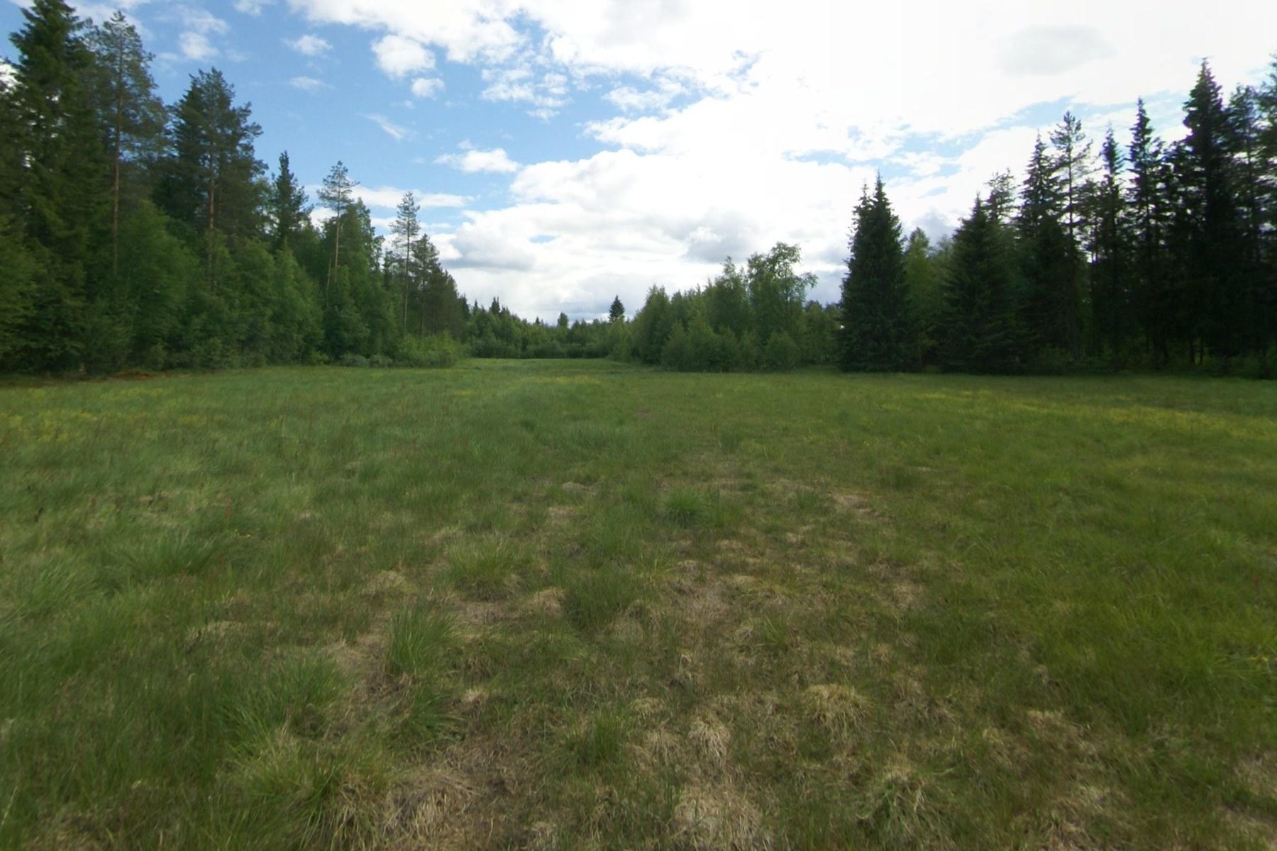 The fenced meadow at Casa del Prat